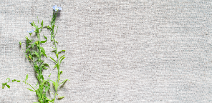 Image of linen with flax plant